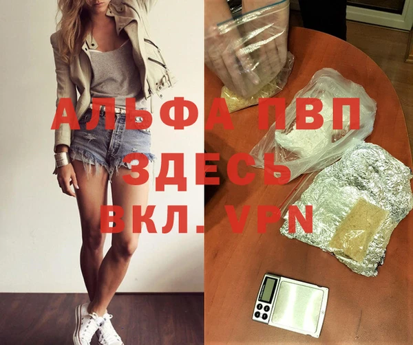 стаф Белокуриха