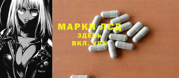 стаф Белокуриха