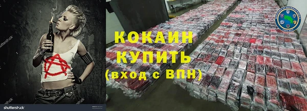 стаф Белокуриха