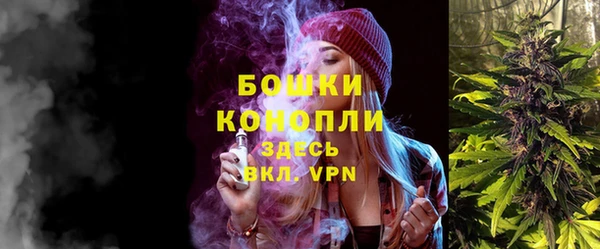 стаф Белокуриха