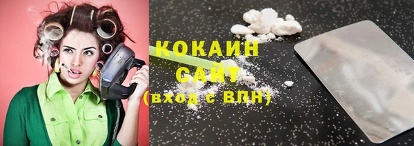 стаф Белокуриха