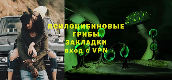 стаф Белокуриха