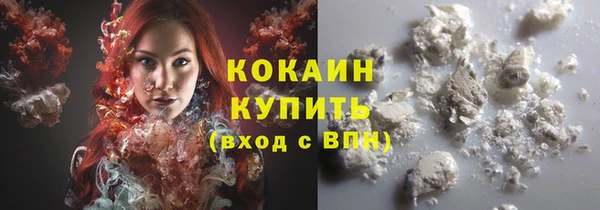 стаф Белокуриха