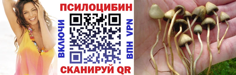 Галлюциногенные грибы Magic Shrooms  даркнет сайт  hydra как войти  Видное 
