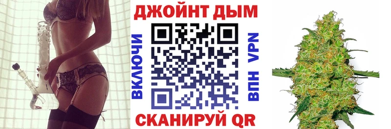Каннабис OG Kush Видное